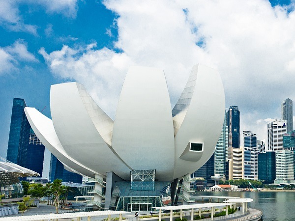 午餐与展览套餐
